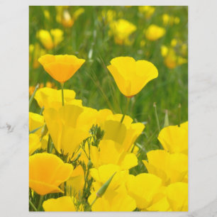 Lámina Papel para scrapbook Flores de amapola naranja Art