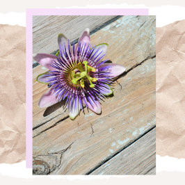 Lámina Papel Passiflora Floral Weathered Madera