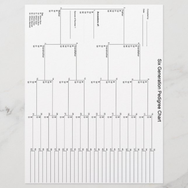 Lámina Papel pedigrí de seis generaciones (Anverso)