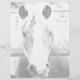 Lámina Papel personal