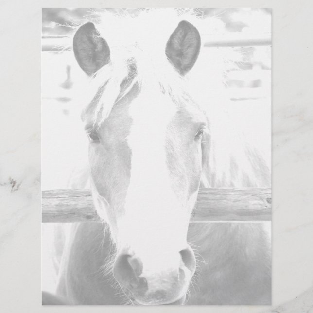 Lámina Papel personal (Anverso)