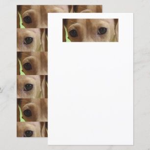 Lámina papel scrapbook ojos crema dachshund