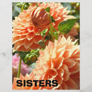 Lámina Papel temático para scrapbook SISTERS Flores de Da