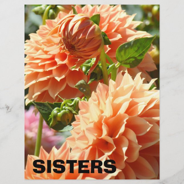 Lámina Papel temático para scrapbook SISTERS Flores de Da (Anverso)