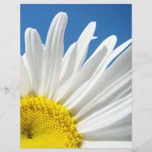 Lámina Papel temático Scrapbook Flores de margarita blanc