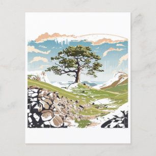 Lámina Parque nacional Northumberland Sycamore Gap Tree