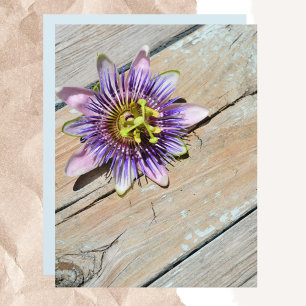 Lámina Passiflora Púrpura Flor Acero rústico Weathered