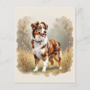 Lámina Pastor Australiano Perro Rojo Merle Aussie