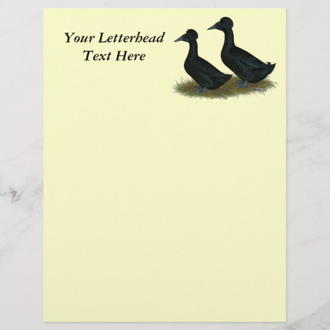Lámina Patos: Black Crested (Anverso)