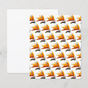 Lámina Patrón de Ave del Paraíso Naranja sobre Papel Blan