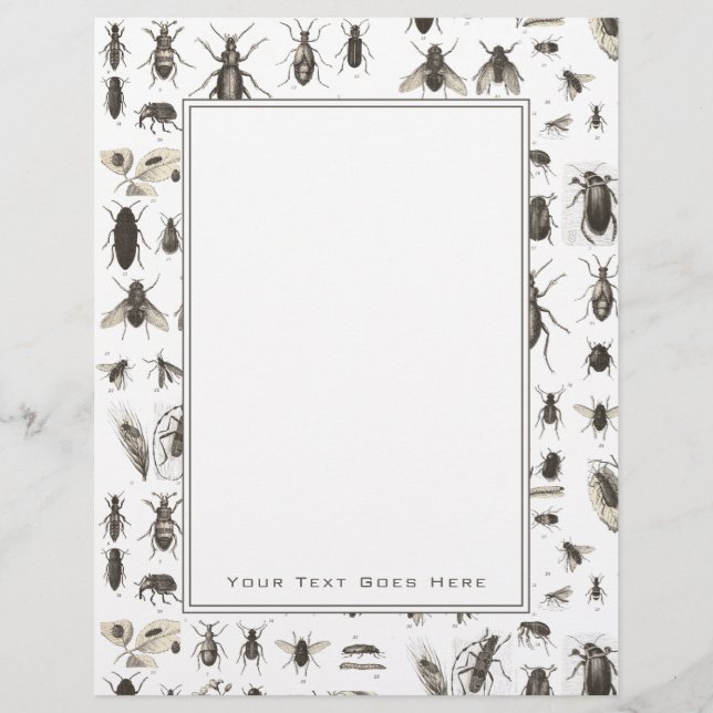 Lámina Patrón único de fallos e insectos de época (Anverso)