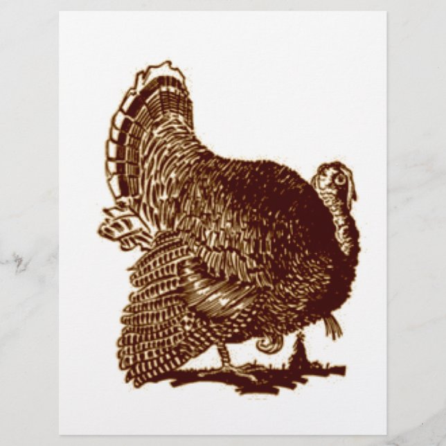 Lámina Pavo (Anverso)