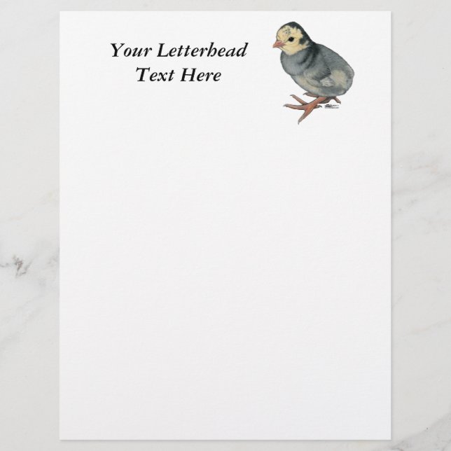 Lámina Pavo azul Slate (Anverso)