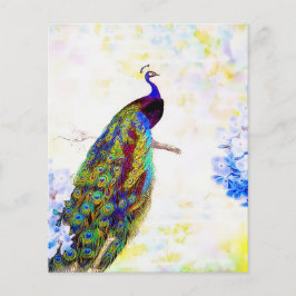 Lámina Pavo de pavo real