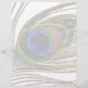 Lámina Peacock Feather
