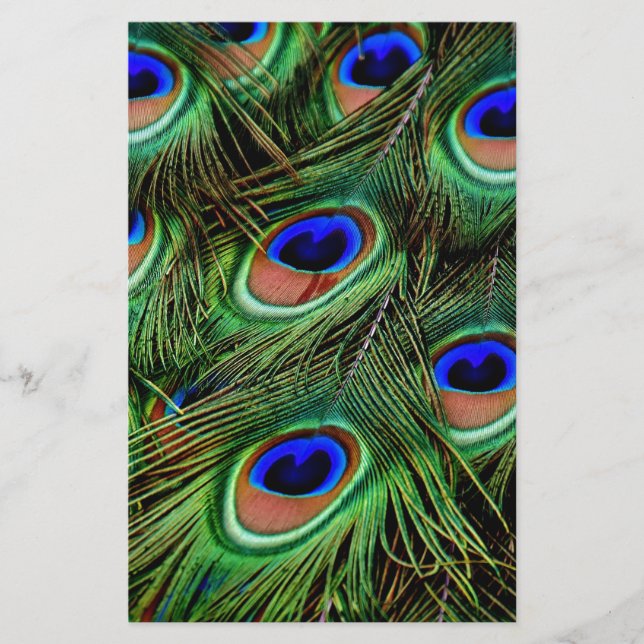 Lámina Peacock Feathers (Anverso)