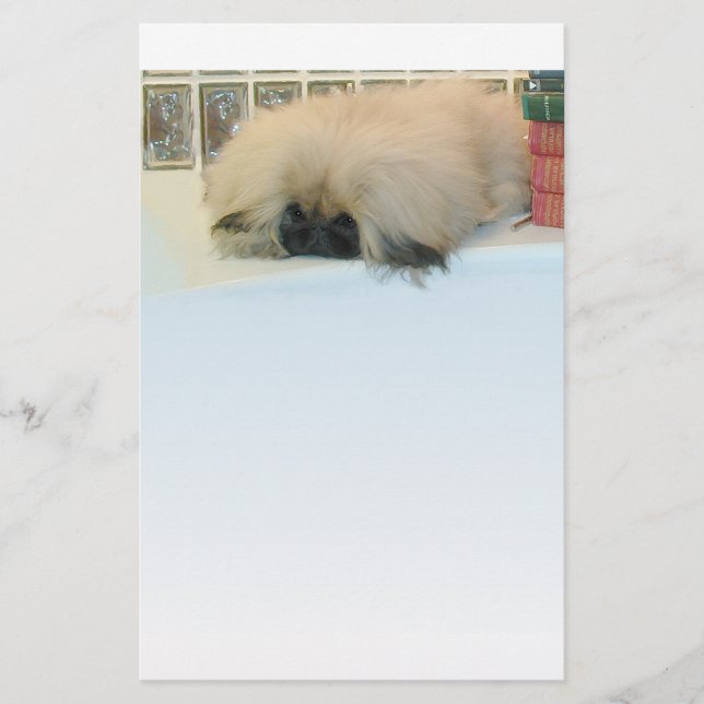 Lámina Pekinés Pensando en Grande (Anverso)