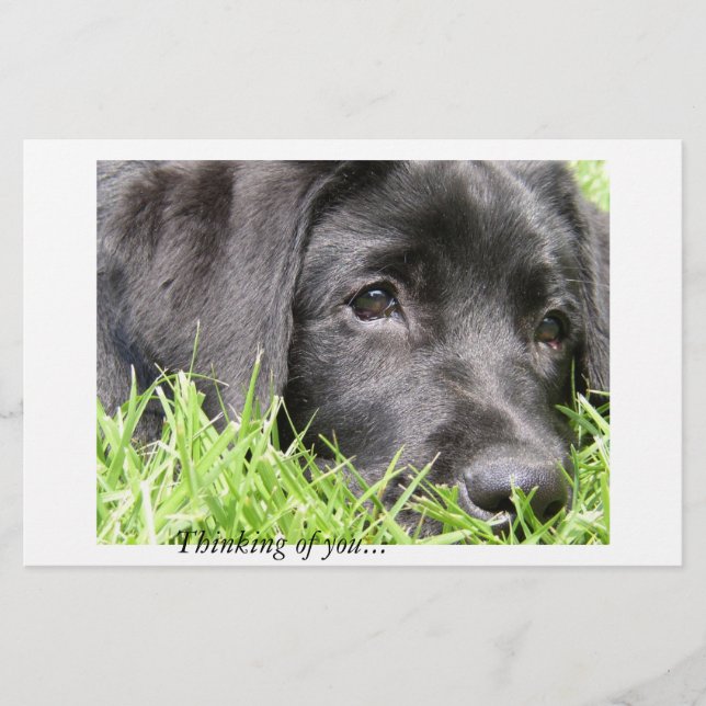 Lámina Pensamiento en ti en Black Lab (Anverso)