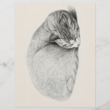 PERIÓDICO DE SCRAPBOOK : JEAN BERNARD : GATO DURMI