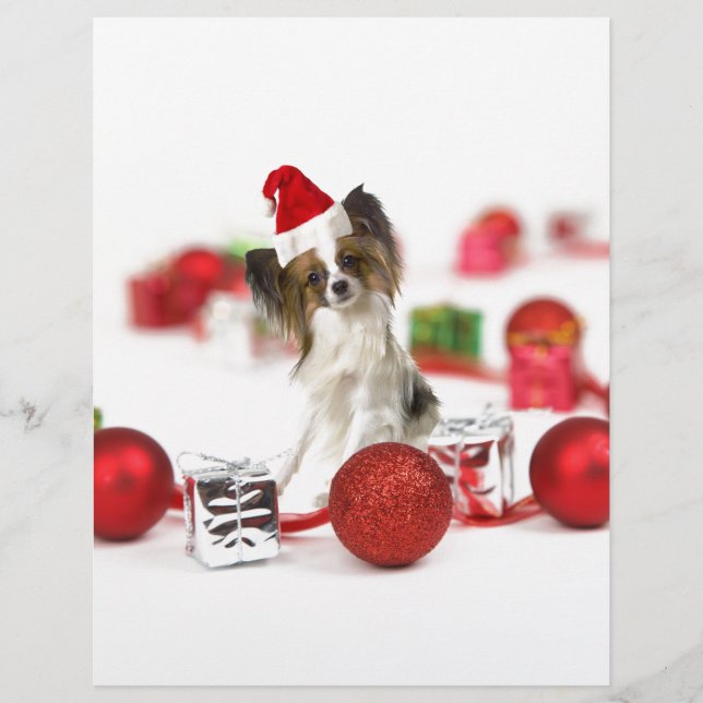 Lámina Perro Papillon Lindo Sombrero de Santa de Navidad (Anverso)