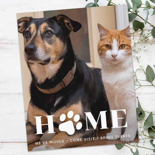 Lámina Personalizado de casa de presupuesto Mascota Foto  (Subido por el creador)