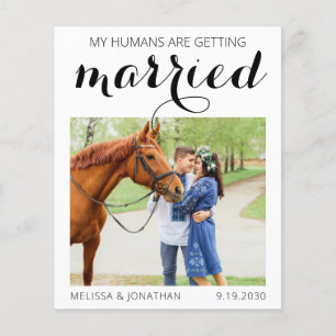 Lámina Personalizado de presupuesto Foto Caballo Ecuestri