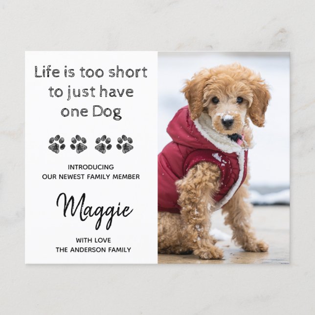 Lámina Personalizado de presupuesto Foto Nuevo Mascota Nu (Anverso)