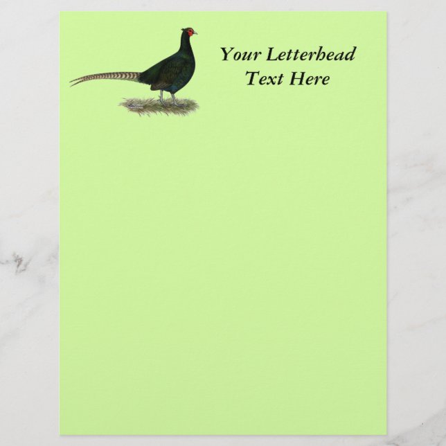 Lámina Pheasant Black Roooster (Anverso)