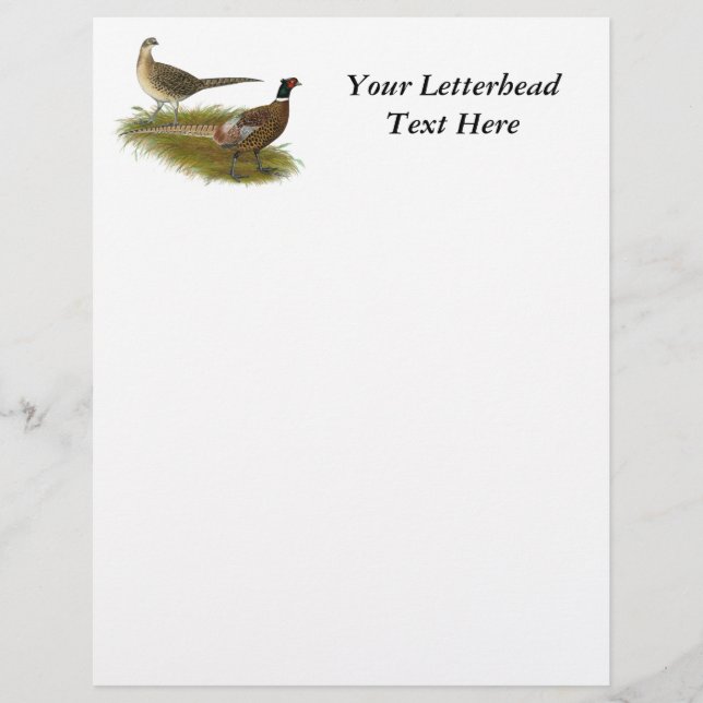 Lámina Pheasant: Pareja Ringneck (Anverso)