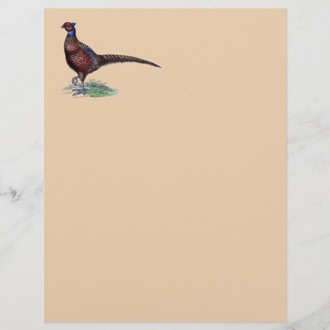 Lámina Pheasant Strutt (Anverso)
