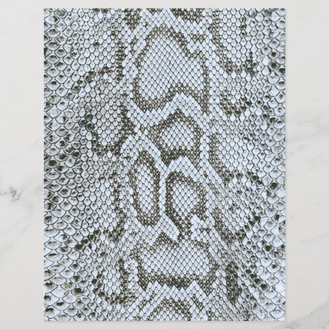Lámina Piel de serpiente Anaconda Textura 2-cara Papel de (Anverso)