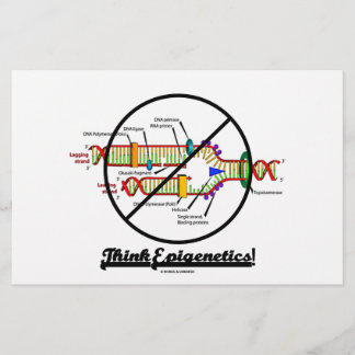 Lámina ¡Piensen En La Epigenética! (Replicación cruzada d