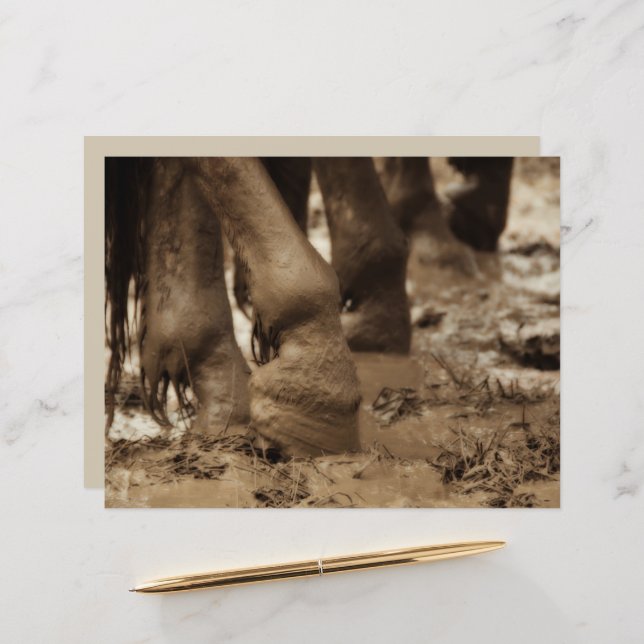 Lámina Pies de Caballo Rústico Vintage Sepia Brown (Anverso/Reverso In Situ)