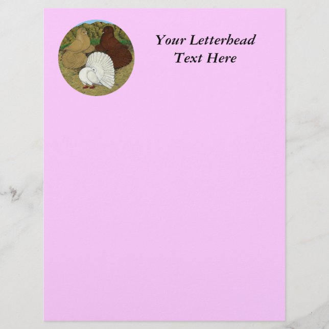 Lámina Pigeon Combo (Anverso)