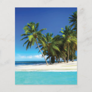 Lámina Pilar de tiro de playa exótica