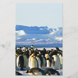 Lámina Pingüinos emperadores