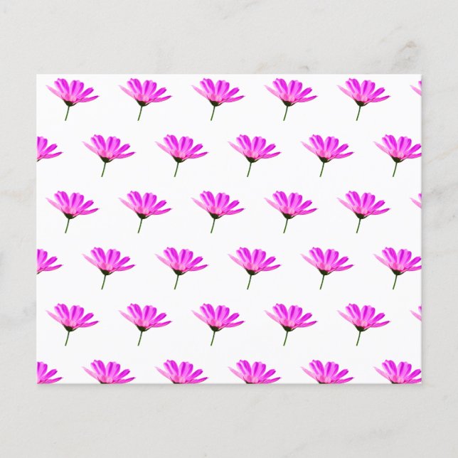 Lámina Pink Daisy (Anverso)