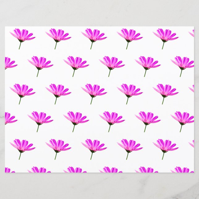 Lámina Pink Daisy (Anverso)