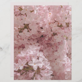 Lámina Pink lilac bloom close-up scrapbook paper