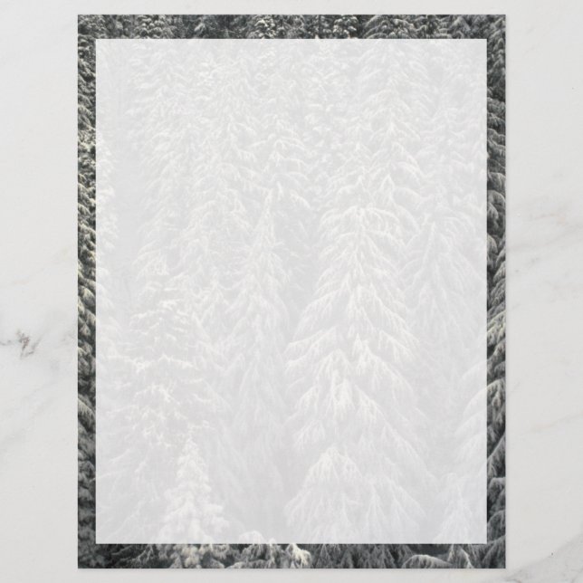 Lámina Pinos recubiertos de nieve (Anverso)