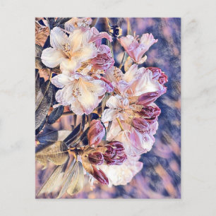 Lámina Pintura acuarela de una flor de azeea morada