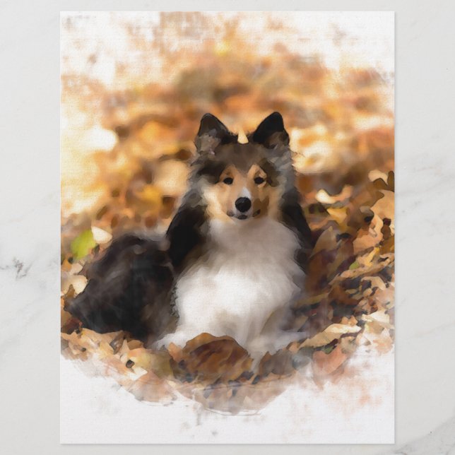 Lámina Pintura de arte de Sheltie Shetland Sheepdog (Anverso)