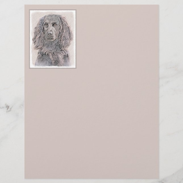 Lámina Pintura de Boykin Spaniel - Arte de Perro Original (Anverso)