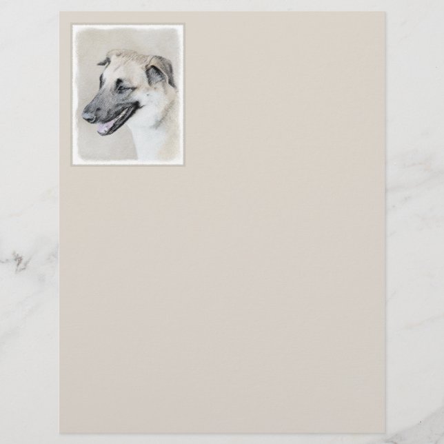 Lámina Pintura de Chinook (Orejas caídas) - Arte Perro Or (Anverso)