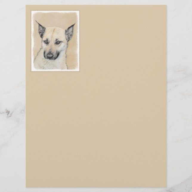 Lámina Pintura de Chinook (Orejas puntiagudas) - Arte Per (Anverso)