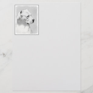 Lámina Pintura de Dogo Argentino - Arte original del perr