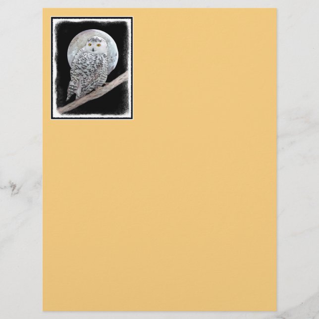 Lámina Pintura de lechuza y luna - Arte original de aves (Anverso)