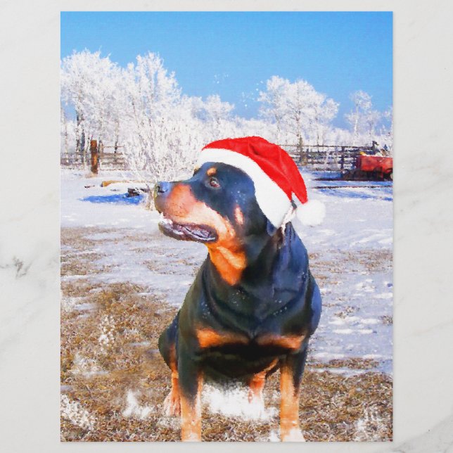 Lámina Pintura de Navidades de perro de Rottweiler (Anverso)