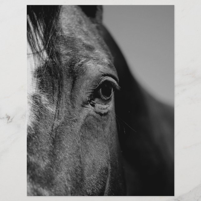 Lámina Pintura de ojos de caballo blanco negro (Anverso)