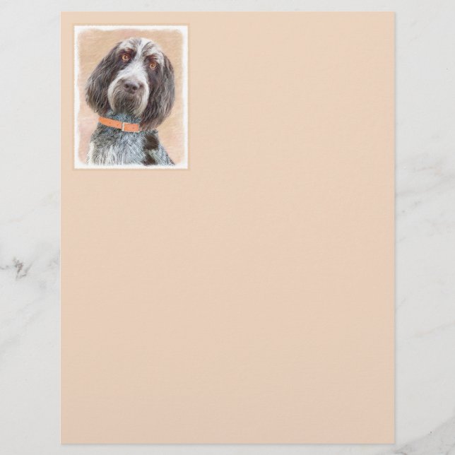 Lámina Pintura de Spinone Italiano - Arte de Perro Origin (Anverso)